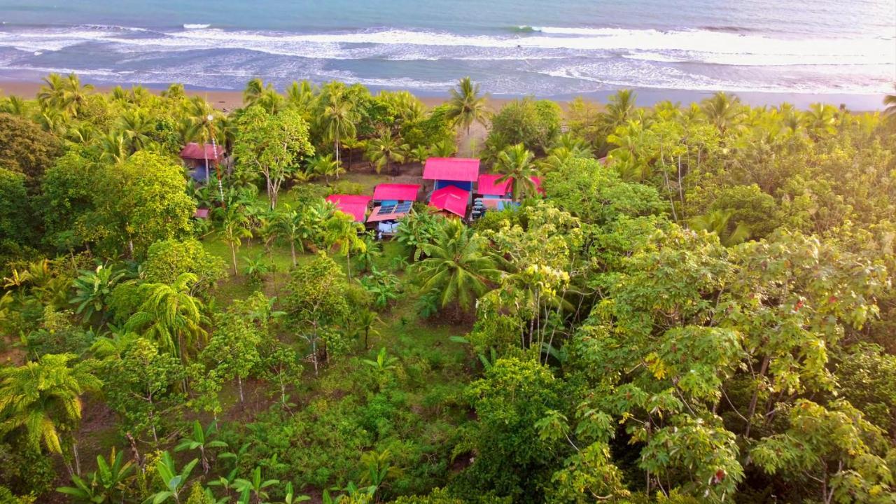 TORTUGA BAY Eco Hotel El Valle (Choco) Exterior foto