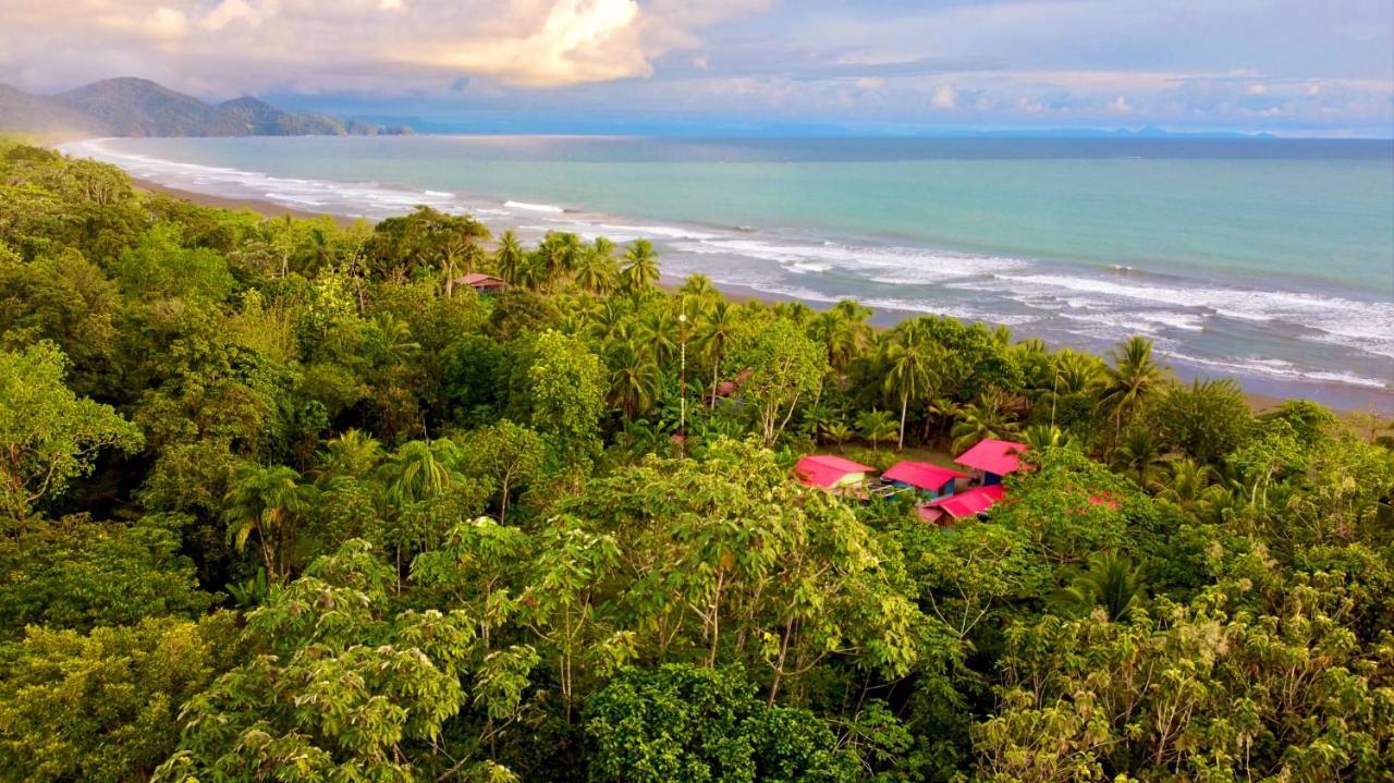 TORTUGA BAY Eco Hotel El Valle (Choco) Exterior foto
